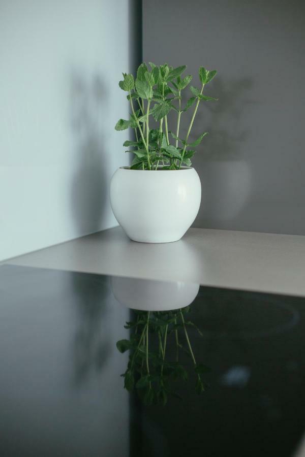 Maslina & Lavanda Podstrana Exterior foto